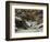 La remise des chevreuils en hiver-Gustave Courbet-Framed Giclee Print