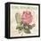 La Rose Romantique-Piper Ballantyne-Framed Stretched Canvas