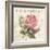 La Rose Romantique-Piper Ballantyne-Framed Art Print