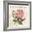 La Rose Romantique-Piper Ballantyne-Framed Art Print