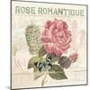 La Rose Romantique-Piper Ballantyne-Mounted Art Print