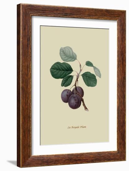 La Royale Plum-William Hooker-Framed Art Print