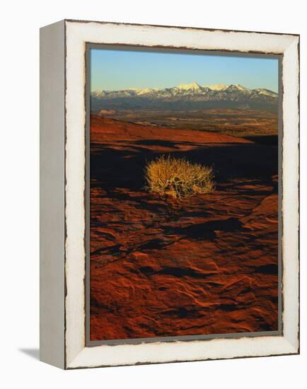 La Sal Mountains in Background, Canyon Rims, Canyonlands National Park, Colorado Plateau, Utah, USA-Scott T. Smith-Framed Premier Image Canvas