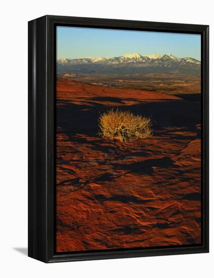 La Sal Mountains in Background, Canyon Rims, Canyonlands National Park, Colorado Plateau, Utah, USA-Scott T. Smith-Framed Premier Image Canvas