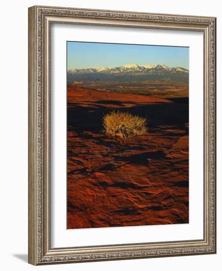 La Sal Mountains in Background, Canyon Rims, Canyonlands National Park, Colorado Plateau, Utah, USA-Scott T. Smith-Framed Photographic Print