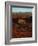 La Sal Mountains in Background, Canyon Rims, Canyonlands National Park, Colorado Plateau, Utah, USA-Scott T. Smith-Framed Photographic Print