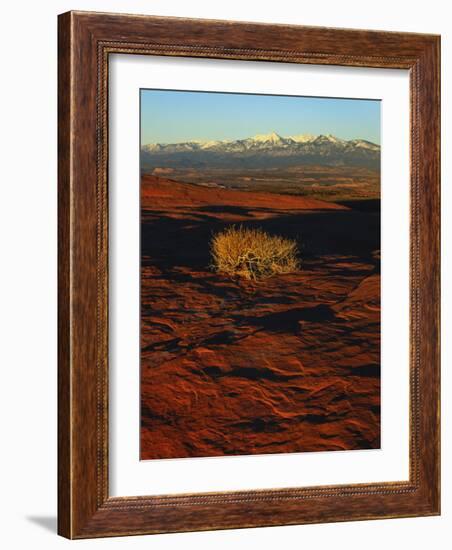 La Sal Mountains in Background, Canyon Rims, Canyonlands National Park, Colorado Plateau, Utah, USA-Scott T. Smith-Framed Photographic Print