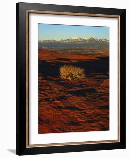 La Sal Mountains in Background, Canyon Rims, Canyonlands National Park, Colorado Plateau, Utah, USA-Scott T. Smith-Framed Photographic Print