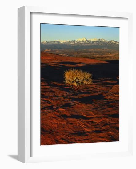 La Sal Mountains in Background, Canyon Rims, Canyonlands National Park, Colorado Plateau, Utah, USA-Scott T. Smith-Framed Photographic Print