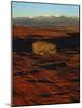 La Sal Mountains in Background, Canyon Rims, Canyonlands National Park, Colorado Plateau, Utah, USA-Scott T. Smith-Mounted Photographic Print