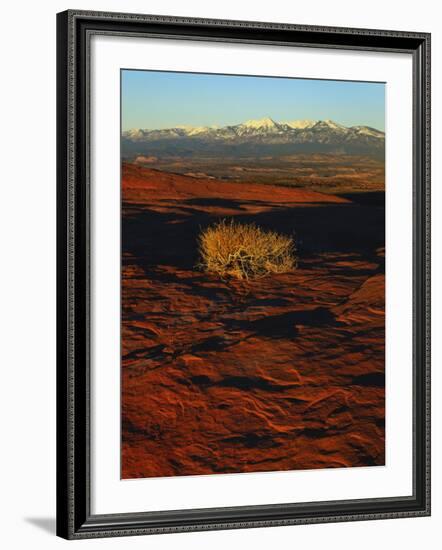 La Sal Mountains in Background, Canyon Rims, Canyonlands National Park, Colorado Plateau, Utah, USA-Scott T. Smith-Framed Photographic Print