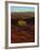 La Sal Mountains in Background, Canyon Rims, Canyonlands National Park, Colorado Plateau, Utah, USA-Scott T. Smith-Framed Photographic Print