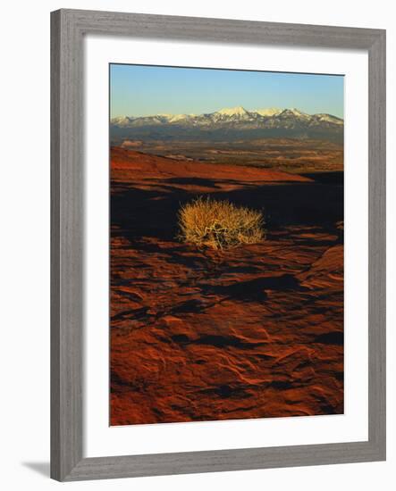 La Sal Mountains in Background, Canyon Rims, Canyonlands National Park, Colorado Plateau, Utah, USA-Scott T. Smith-Framed Photographic Print