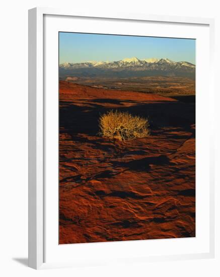 La Sal Mountains in Background, Canyon Rims, Canyonlands National Park, Colorado Plateau, Utah, USA-Scott T. Smith-Framed Photographic Print