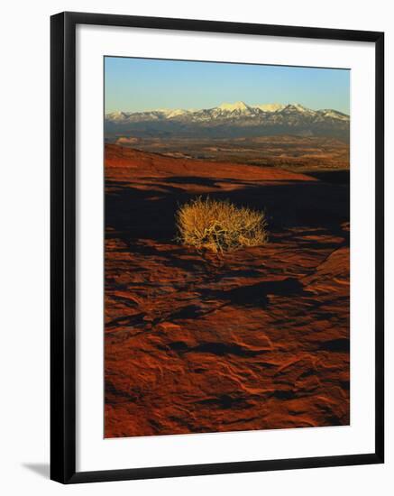 La Sal Mountains in Background, Canyon Rims, Canyonlands National Park, Colorado Plateau, Utah, USA-Scott T. Smith-Framed Photographic Print