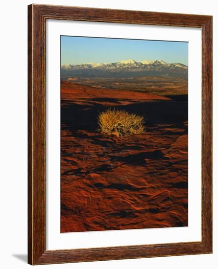 La Sal Mountains in Background, Canyon Rims, Canyonlands National Park, Colorado Plateau, Utah, USA-Scott T. Smith-Framed Photographic Print