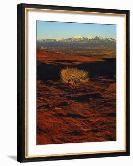 La Sal Mountains in Background, Canyon Rims, Canyonlands National Park, Colorado Plateau, Utah, USA-Scott T. Smith-Framed Photographic Print