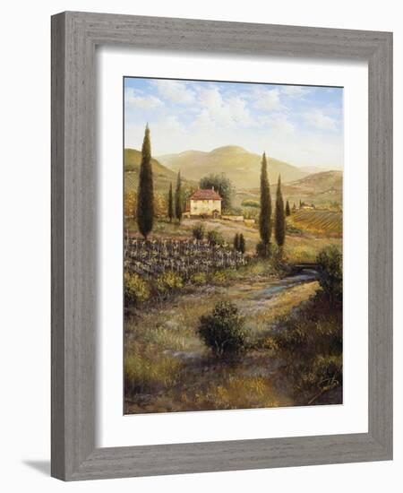 La Salita-Joe Sambataro-Framed Art Print