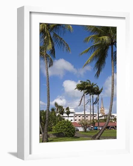 La Savane Park, Fort-De-France, Martinique, French Antilles, West Indies, Caribbean-Richard Cummins-Framed Photographic Print