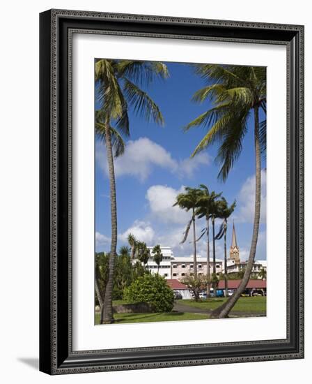 La Savane Park, Fort-De-France, Martinique, French Antilles, West Indies, Caribbean-Richard Cummins-Framed Photographic Print