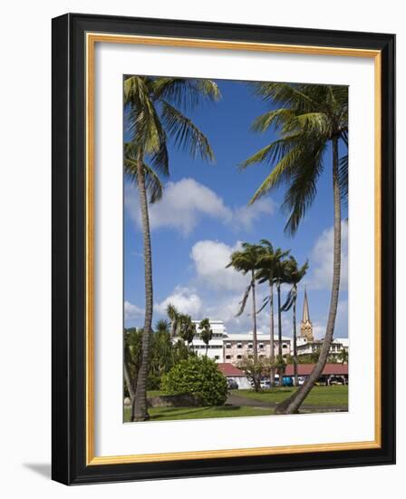 La Savane Park, Fort-De-France, Martinique, French Antilles, West Indies, Caribbean-Richard Cummins-Framed Photographic Print