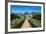 La Seigneurie House and Gardens, Sark, Channel Islands, United Kingdom-Michael Runkel-Framed Photographic Print