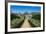 La Seigneurie House and Gardens, Sark, Channel Islands, United Kingdom-Michael Runkel-Framed Photographic Print