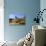 La Seigneurie, Sark, Channel Islands, United Kingdom-Neil Farrin-Photographic Print displayed on a wall