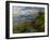 La Seine à Champrosay-Pierre-Auguste Renoir-Framed Giclee Print