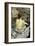 La Toilette-Henri de Toulouse-Lautrec-Framed Giclee Print