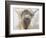 La Vache,Cow, 2015-Lou Gibbs-Framed Giclee Print