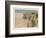La Vérendrye from Colliers Weekly, Pub. 1906 (Colour Litho)-Frederic Remington-Framed Giclee Print