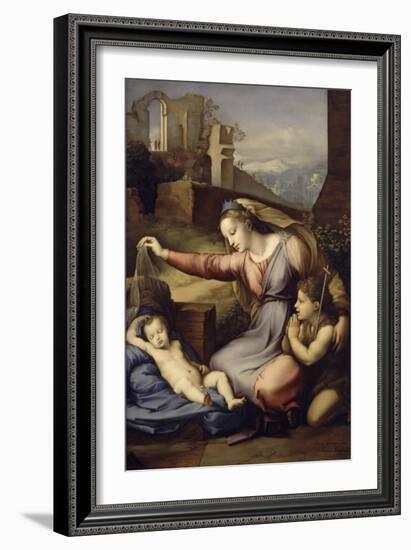 La Vierge au voile bleu-Raffaello Sanzio-Framed Giclee Print