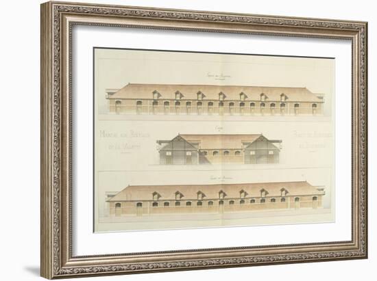 La Villettte Slaughterhouse and Cattle Market, Paris-Victor Baltard-Framed Giclee Print