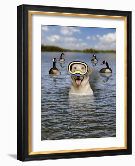 Lab And Geese-J Hovenstine Studios-Framed Giclee Print