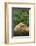 Lab and Golden Retriever Puppies-DLILLC-Framed Photographic Print