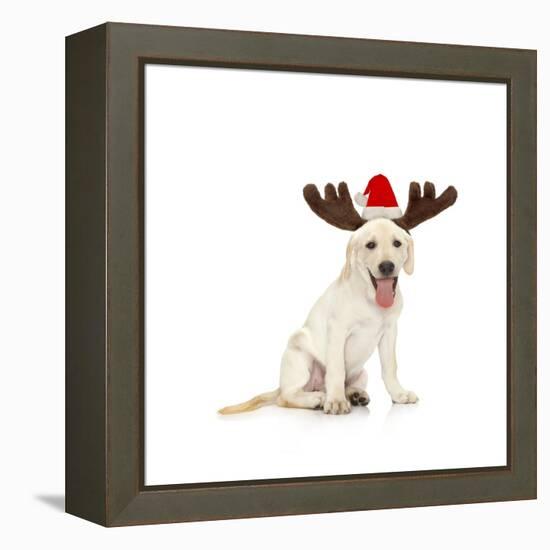 Lab Puppy Wearing Antlers-Lew Robertson-Framed Premier Image Canvas