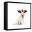 Lab Puppy Wearing Antlers-Lew Robertson-Framed Premier Image Canvas