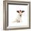 Lab Puppy Wearing Antlers-Lew Robertson-Framed Photographic Print