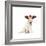 Lab Puppy Wearing Antlers-Lew Robertson-Framed Photographic Print