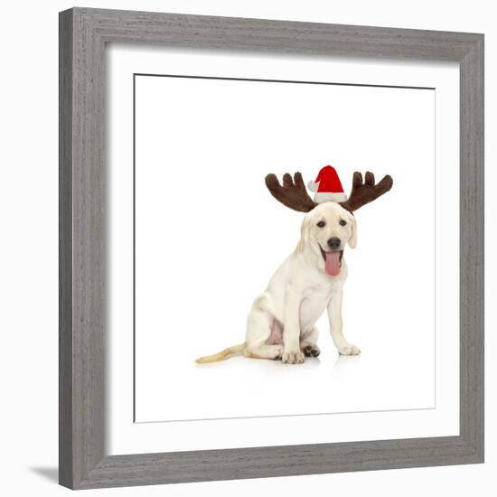 Lab Puppy Wearing Antlers-Lew Robertson-Framed Photographic Print