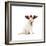 Lab Puppy Wearing Antlers-Lew Robertson-Framed Photographic Print