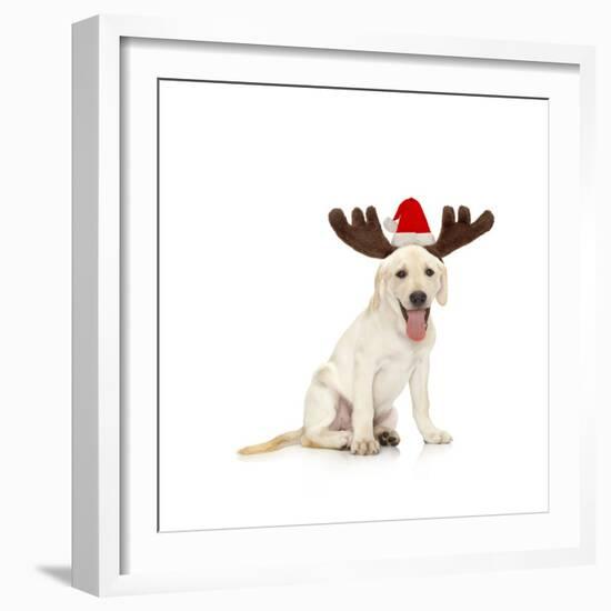 Lab Puppy Wearing Antlers-Lew Robertson-Framed Photographic Print