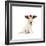 Lab Puppy Wearing Antlers-Lew Robertson-Framed Photographic Print