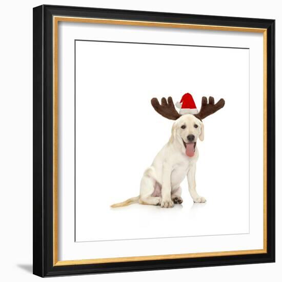 Lab Puppy Wearing Antlers-Lew Robertson-Framed Photographic Print