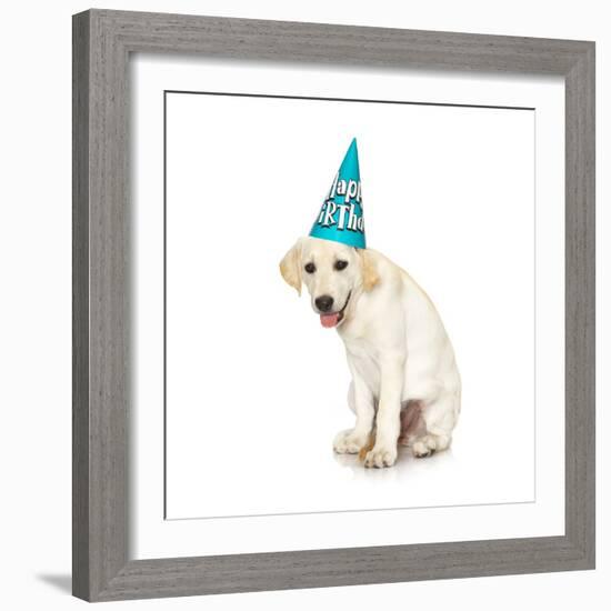 Lab Puppy Wearing Birthday Hat-Lew Robertson-Framed Photographic Print