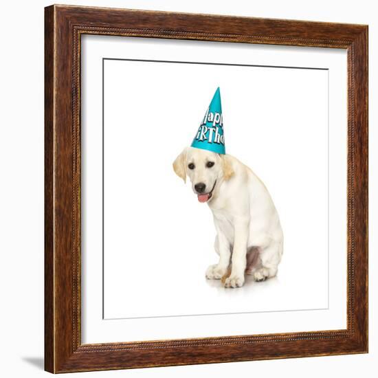 Lab Puppy Wearing Birthday Hat-Lew Robertson-Framed Photographic Print