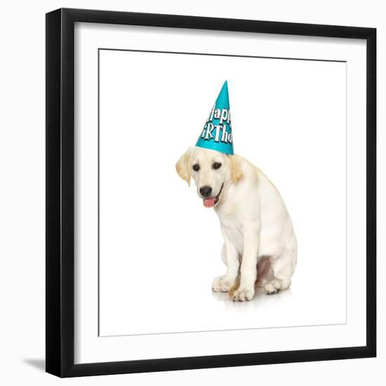 Lab Puppy Wearing Birthday Hat-Lew Robertson-Framed Photographic Print