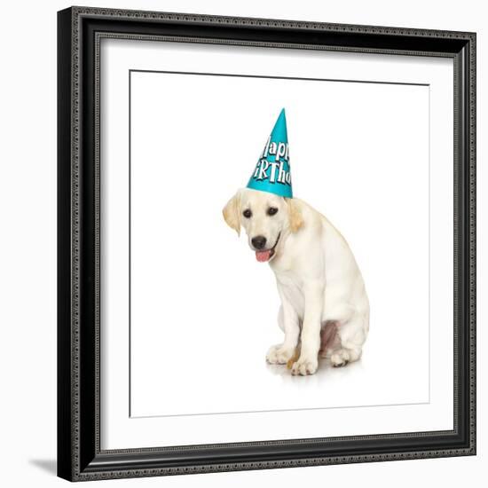 Lab Puppy Wearing Birthday Hat-Lew Robertson-Framed Photographic Print