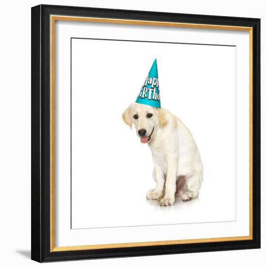 Lab Puppy Wearing Birthday Hat-Lew Robertson-Framed Photographic Print